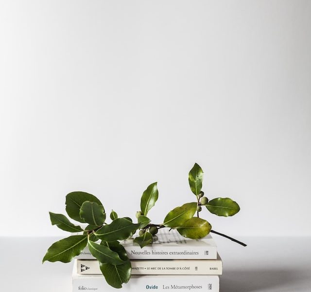 Rebuild Your Credit With Derrick Pickett’s New Book