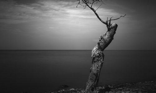 Fine Art Photography by Nedim Slijepcevic