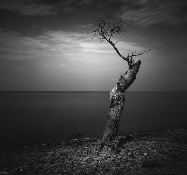 Fine Art Photography by Nedim Slijepcevic