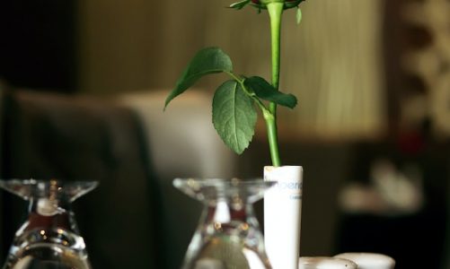 Looking For 5 Lovely Etsy Stores To Feature on Feb 18th!