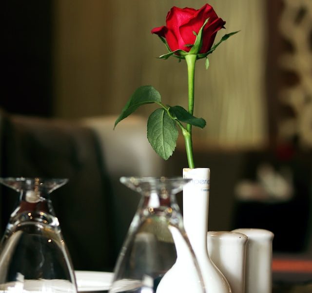 Looking For 5 Lovely Etsy Stores To Feature on Feb 18th!