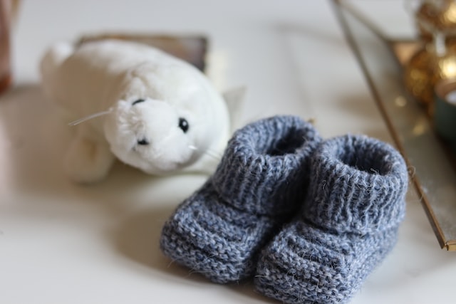 Personalized Felted Animals and Artistic Shoes