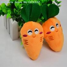 2016-new-carrot-feeding-bottle-watermelon-styles-font-b-dog-b-font-font-b-toys-b-jpg_220x220-9588090