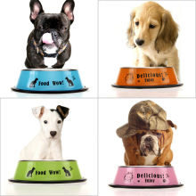 new-arrival-fashion-stainless-steel-anti-skid-font-b-dog-b-font-cat-food-water-font-jpg_220x220-5698262