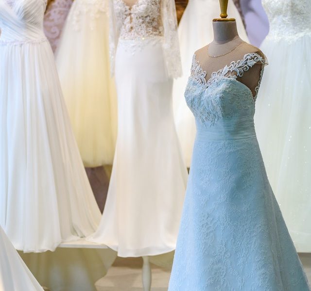 Explore A Whole New World With The Foxy Republic