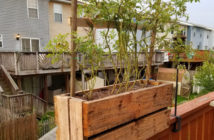 Your Very Own Fairy Doll House