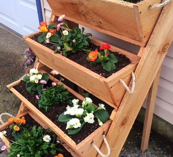 garden-sculpture-cedar-wood-wall-planter-succulent-cuttings-raised-planters-box-standing-plant-planting-green-pots-raised-bed-soil-vertical-570x516-7076724