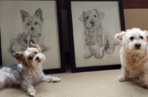 pet-portrait-custom-hand-drawn-pencil-pet-memorial-gifts-for-her-dog-art-1-1-214x140-7466007