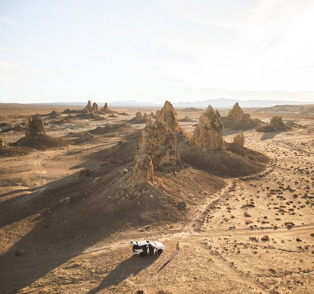 Wildlife & Nature Photography by Simon Marlow