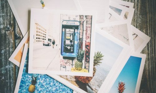 Special Holiday Sale 15% On All Susan Taylor Prints & Canvases