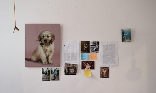 Pawsitivity, Watercolor Dog Art Prints & Accessories