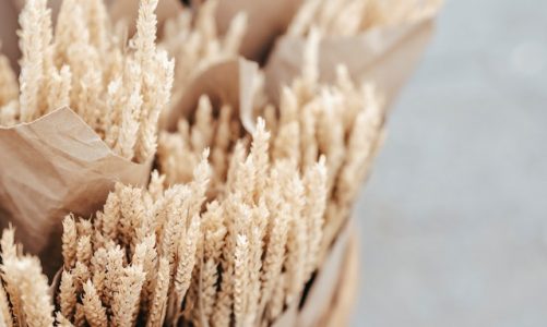 Add Some Magic With Handmade Fairies and Elves