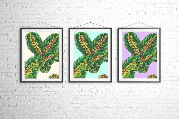 botanical-prints-home-wall-decor-copic-markers-leaf-print-botanical-print-set-monstera-leaf-wall-art-australia-plant-drawing-green-leaves-8952520
