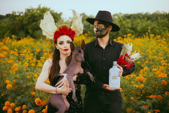 +15 Couples Halloween Costumes For 2017