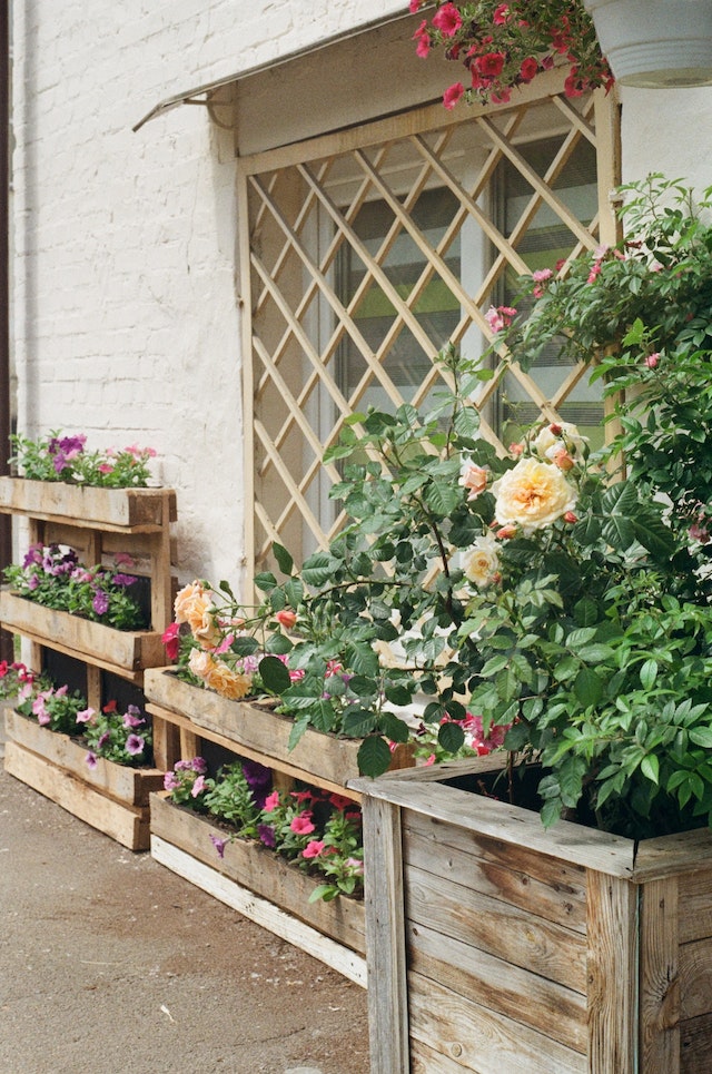 Wooden Planters & Outdoor Wooden decor