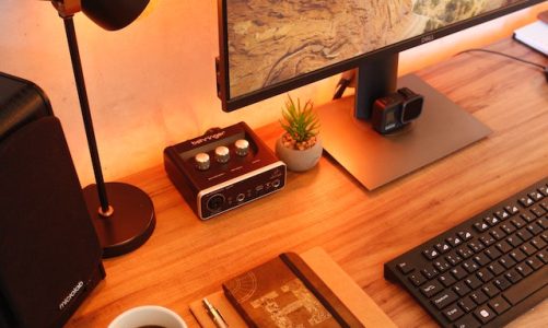 Climb All The Way With MTL Decor