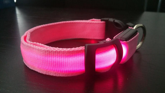 pink-led-dog-collar-makes-your-dog-visible-safe-seen-1-1-6416856