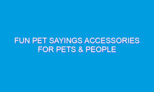 Fun Pet Sayings Accessories for Pets & People
