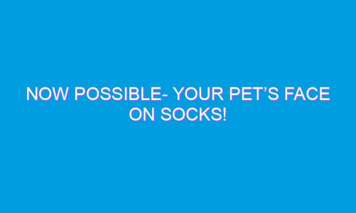 Now Possible- Your Pet’s Face on Socks!