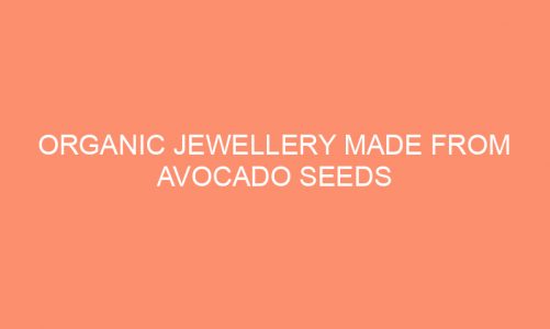 Organic Jewellery Made From Avocado Seeds