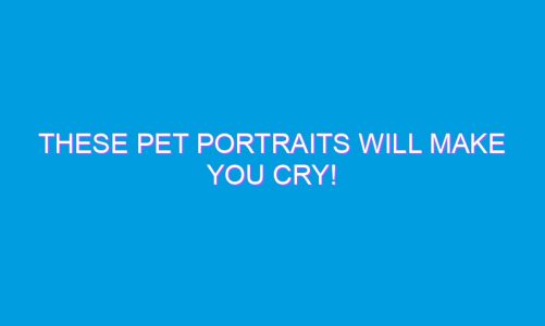 These Pet Portraits Will Make You Cry!