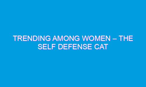Trending Among Women – The Self Defense Cat Keychain