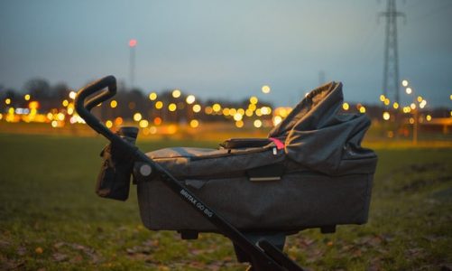 Stroller for a newborn