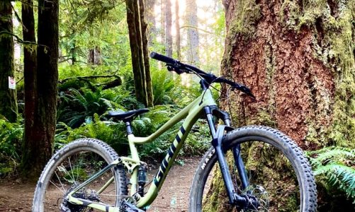 Mountain bike: Which bicycle is best for the mountain?